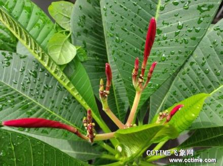 華為nova 3i評(píng)測(cè)：顏值高，拍照好的手機(jī)在這里!