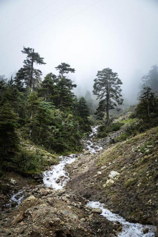 波濤？山路？風(fēng)雨兼程，麥芒無懼挑戰(zhàn)
