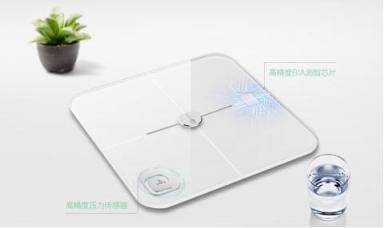 測的參數(shù)越多越好嗎？聯(lián)想體脂秤對比小米/榮耀體脂秤