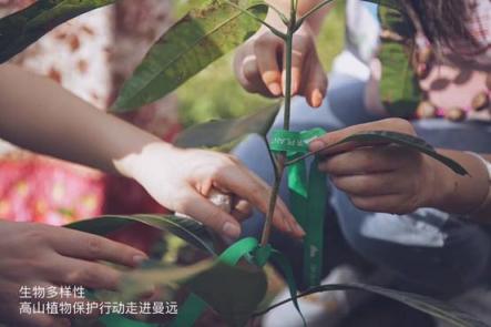 惠益共享，植物醫(yī)生高山植物“公益鏈”