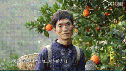 改革開放40周年，蘇寧成“鄉(xiāng)村振興”企業(yè)代言人