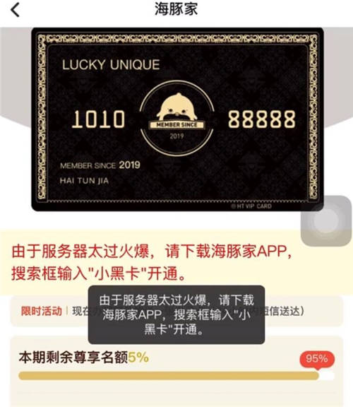 品牌C位計劃推出，首創(chuàng)海豚家小黑卡吸睛亮相