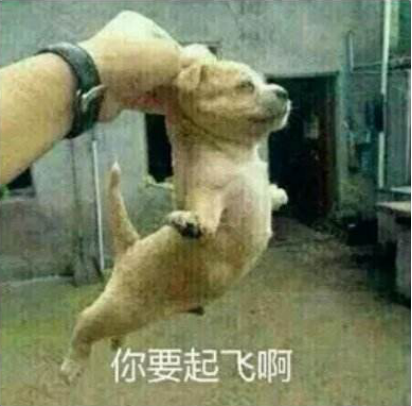 成人線上興趣班成新亮點(diǎn)，在線教育行業(yè)全面開花