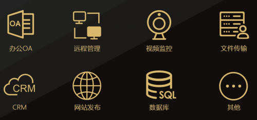無需公網(wǎng)IP，花生殼3步實(shí)現(xiàn)服裝進(jìn)銷存ERP遠(yuǎn)程外網(wǎng)訪問