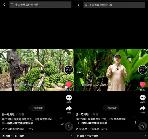 香蕉為什么向上生長？她在抖音為440萬人科普植物的奧秘