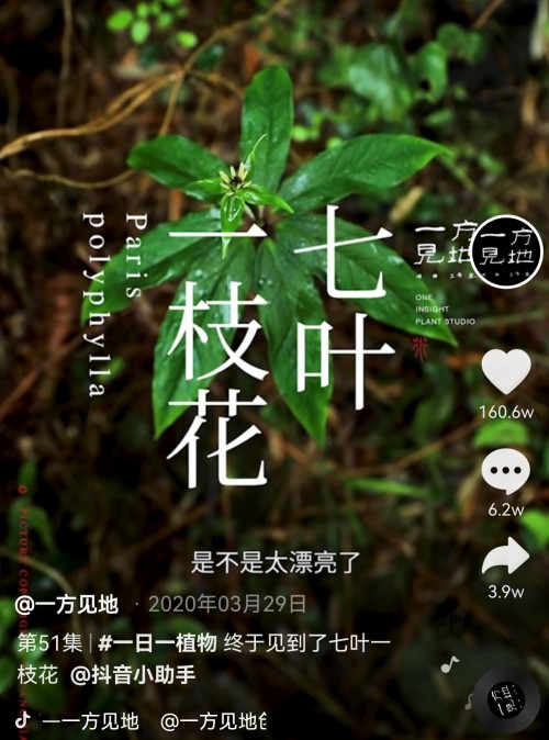 香蕉為什么向上生長？她在抖音為440萬人科普植物的奧秘