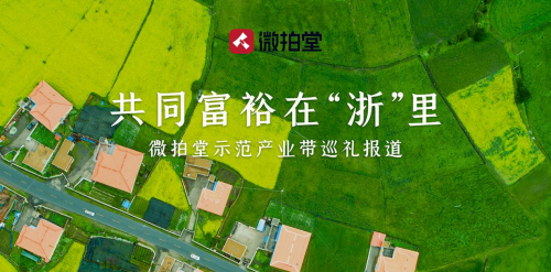 微拍堂里小微盆景，在自然意境中走向文化共富