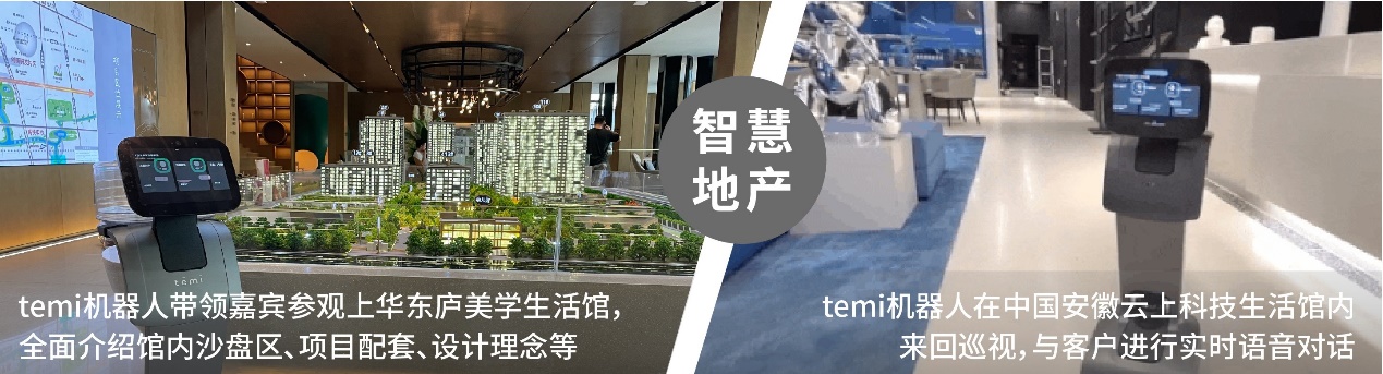 洞見智能：新格局、新活力、新突破，temi穩(wěn)步發(fā)展