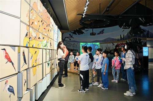 龍湖小龍人計劃：研學(xué)旅行促成長，最美課堂在路上