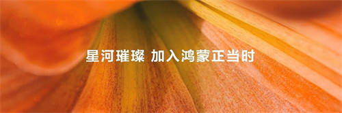 加入鴻蒙正當(dāng)時(shí)，“鴻蒙林”照見原生鴻蒙萬物智聯(lián)新世界