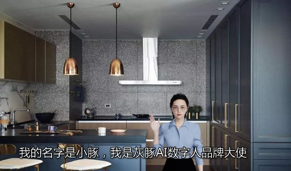 2024世界人工智能大會，灰豚AI數(shù)字人以可視化的方式迎面而來