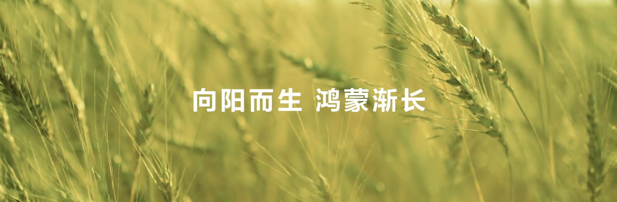 從“被動(dòng)響應(yīng)”到“主動(dòng)服務(wù)”，鴻蒙正在煥新消費(fèi)者智能生活體驗(yàn)